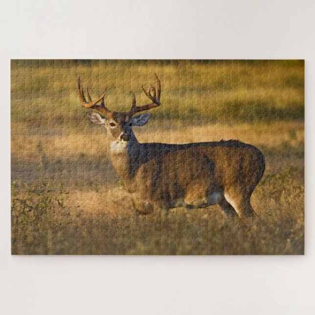 Puzzle Cerf à queue blanche | Sud du Texas (Horizontal)