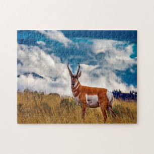 Puzzle Cerf Antilope Montana.
