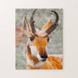 Puzzle Cerf Antilope Wyoming.