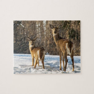 Puzzle Cerf blanc en neige