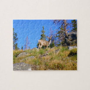 Puzzle Cerf des Montagnes Rocheuses