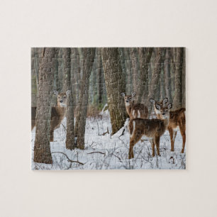 Puzzle Cerf d'hiver 10x8 défi