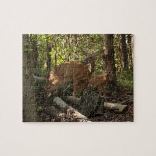 Puzzle Cerf et Biche au Parc National de Shenandoah