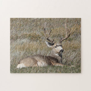 Puzzle Cerf Mulet Mâle dans l'Herbe du Début de l'Automne