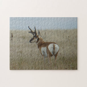 Puzzle Cerf pronghorn A22 mâle