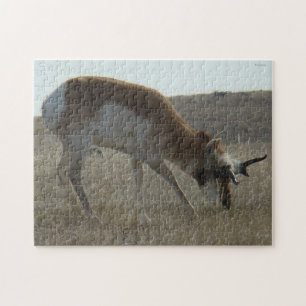 Puzzle Cerf pronghorn A34 bois tors