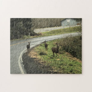 Puzzle Cerf sur la route, Cap Déception, WA