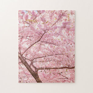 Puzzle Cerisiers en fleurs