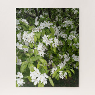 Puzzle Cerisiers en fleurs à l'ombre et à la lumière
