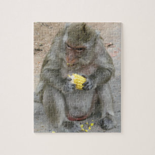 Puzzle C'est à moi ! ! ... Singe Macaque thaïlandais sauv