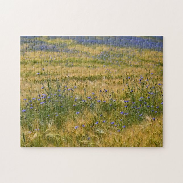Puzzle Champ de Bleuets (Horizontal)