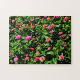 Puzzle Champ de fleurs de Zinnia effet d'art Orton