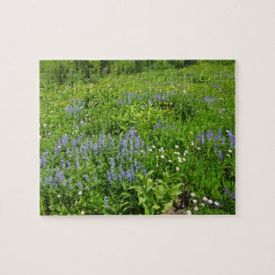 Puzzle Champ de Fleurs sauvages au Mont Rainier