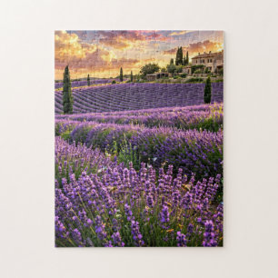 Puzzle Champ de Lavande au Coucher du Soleil