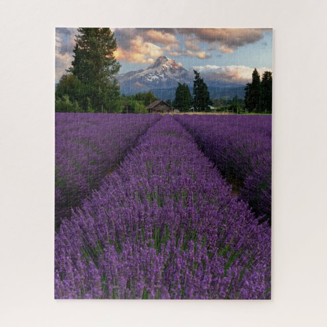 Puzzle Champ de Lavande de l'Oregon surplombant le mont H (Vertical)