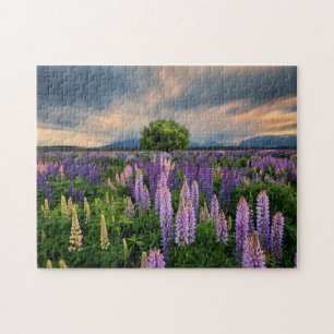 Puzzle Champ de lupin en Nouvelle Zélande