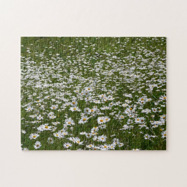 Puzzle Champ de marguerites Fleurs sauvages de l'Alaska (Horizontal)