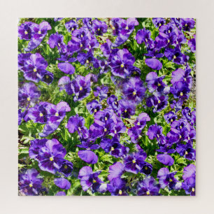 Puzzle Champ de Purple Pansy