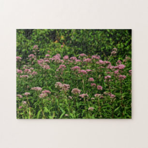 Puzzle Champ De Sweet Joe Pye Fleurs De Mauvaises Herbes 