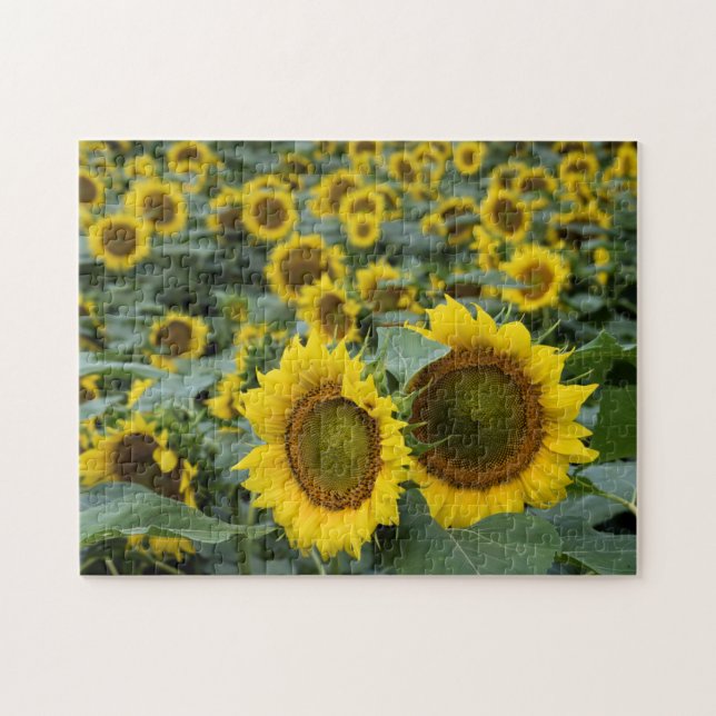 Puzzle Champ de tournesols - 11x14 pouces (Horizontal)