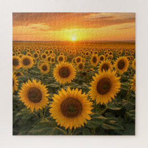 Puzzle Champ de Tournesols Dorés au Coucher du Soleil