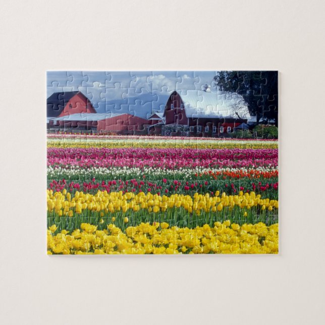 Puzzle Champ de tulipes (Horizontal)