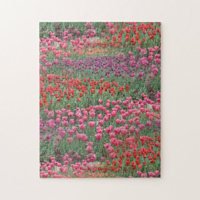 Puzzle Champ De Tulipes (Vertical)
