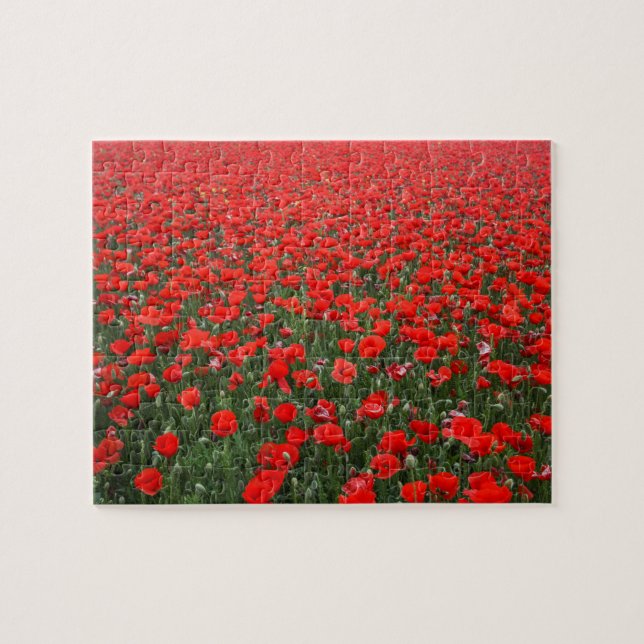 Puzzle Champ des pavots rouges (Horizontal)
