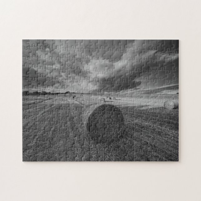 Puzzle Champ d'orge de B&W (Horizontal)