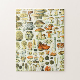 Puzzle Champignon Adolphe Millot