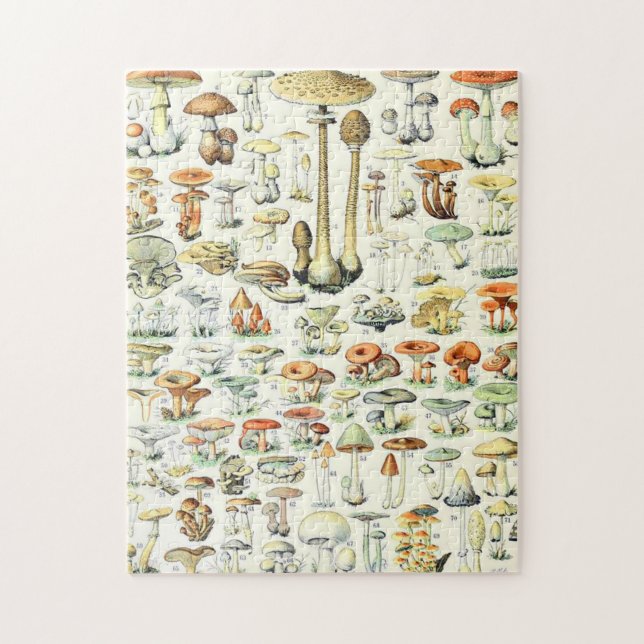 Puzzle Champignon Adolphe Millot B (Vertical)