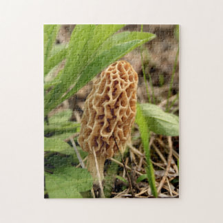 Puzzle Champignon de morelle