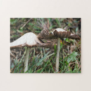 Puzzle Champignons blancs Pair Nature