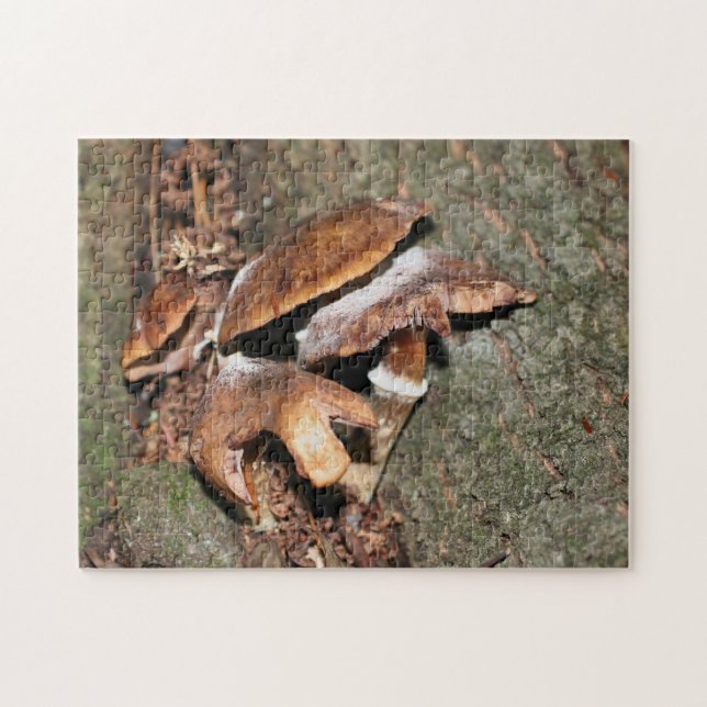 Puzzle Champignons Brown Sauvages Dans L'Arbre Crevice Na (Horizontal)