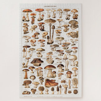 Puzzle Champignons Colorés Vintage Par Adolphe Millot