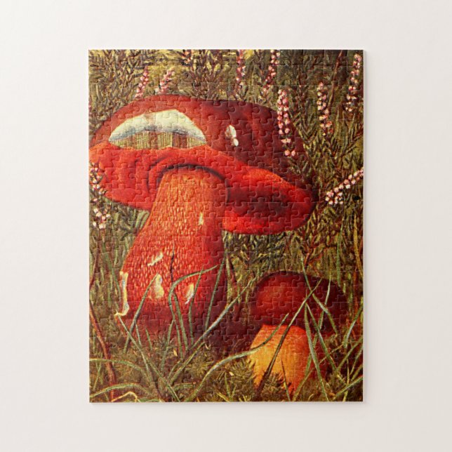 Puzzle Champignons orange vintages - Boletus Luridus (Vertical)