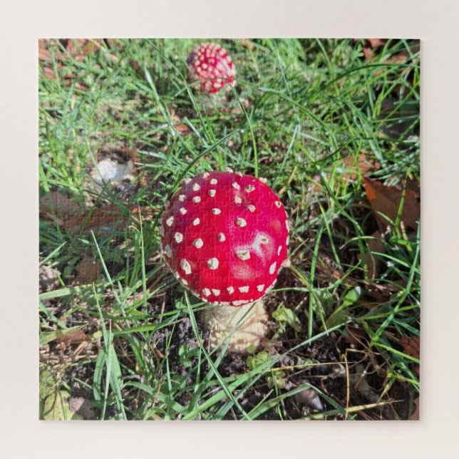 Puzzle Champignons rouges (Vertical)