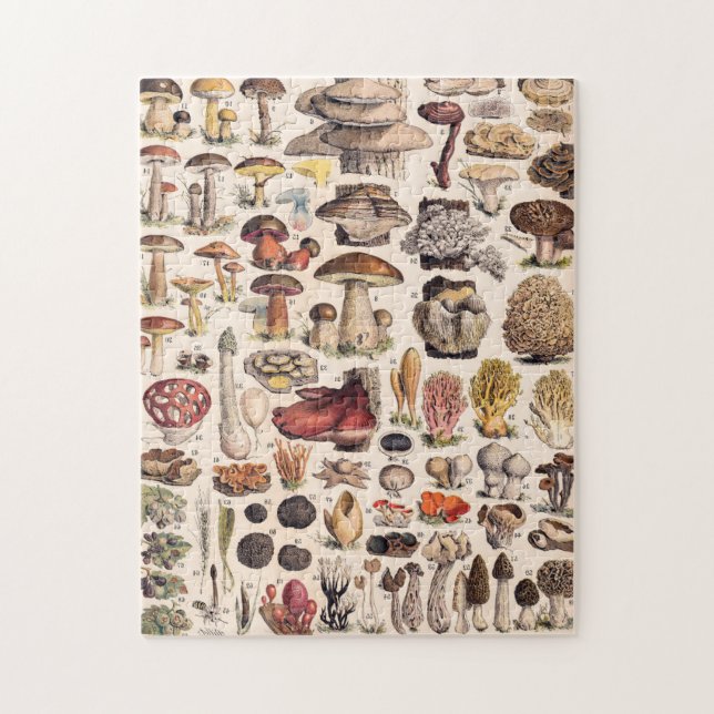 Puzzle Champignons vintages Par Adolphe Millot (Vertical)
