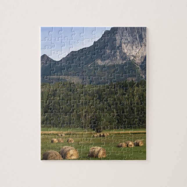 Puzzle Champs avec du foin bottelé, Alberta, Canada (Vertical)