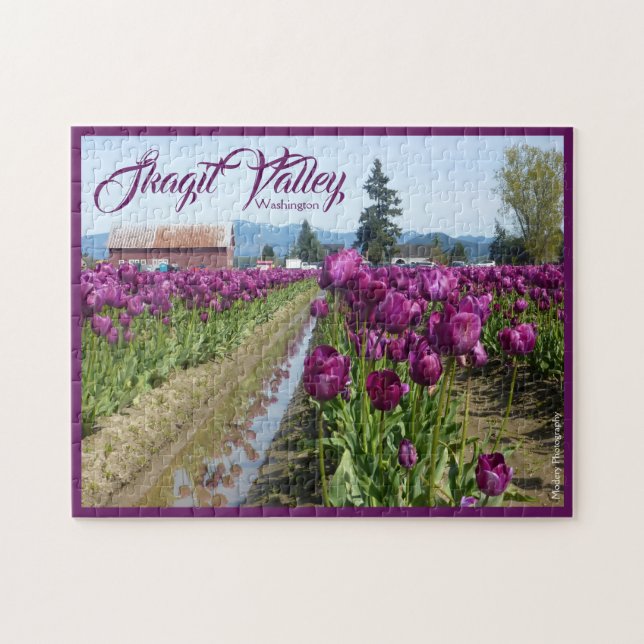Puzzle Champs de tulipe (pourpres) et grange (vallée de (Horizontal)