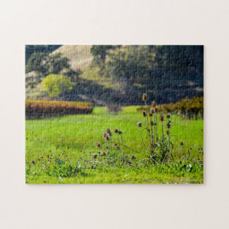 Puzzle Chardon dans un vignoble