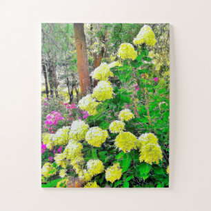Puzzle Chartreuse Vert Limelight Hydrangea Garden