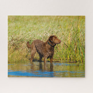 Puzzle Chasse au chien de chasse de chasse de la baie de 