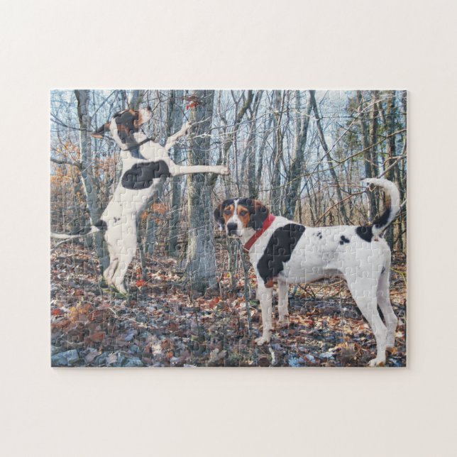 Puzzle Chasse de Coonhounds de marcheur de Treeing (Horizontal)