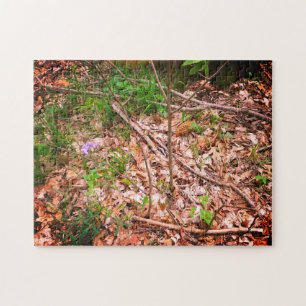 Puzzle Chasse Morel du printemps