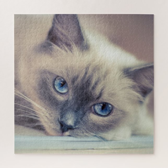 Puzzle Chat ‎ (Vertical)