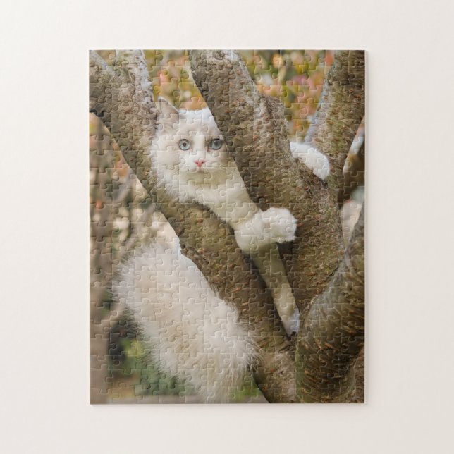 Puzzle Chat à la luffée avec les yeux bleus dans un arbre (Vertical)