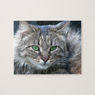 Puzzle Chat aux yeux verts pelucheux de Kitty de tigre