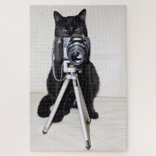 Puzzle Chat avec l'appareil photo