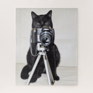 Puzzle Chat avec l'appareil photo